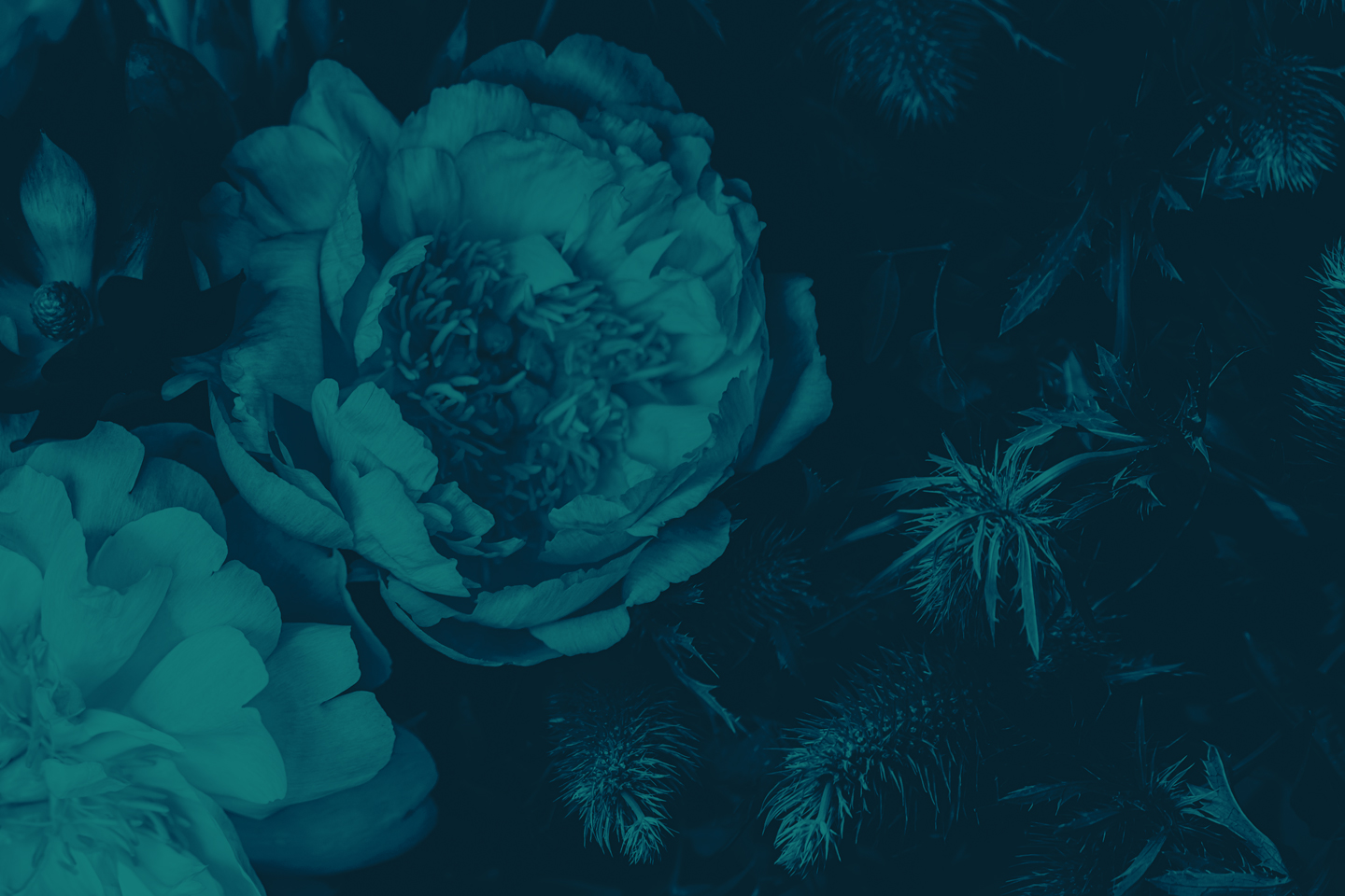 Floral image with a green gradient overlay