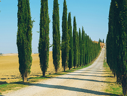 Italian estate planning and wills