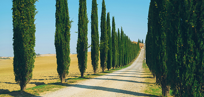 Italian estate planning and wills