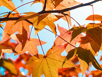 Private client team news and updates—November 2025