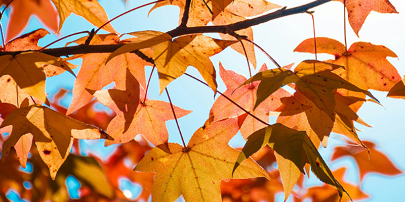 Private client team news and updates—November 2025