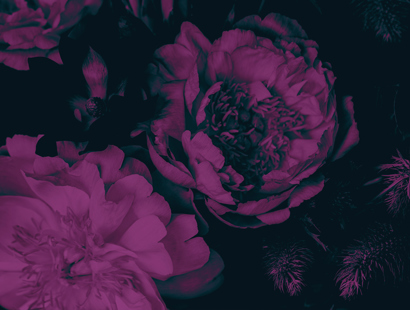 Generation Game Office No Text