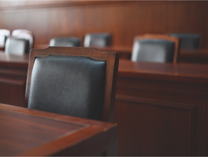 Judicial review