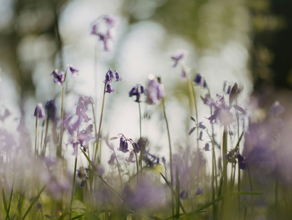 Private client team news and updates—April 2025