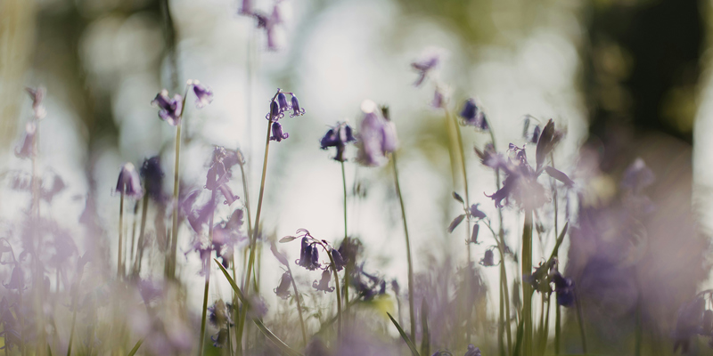 Private client team news and updates—April 2025