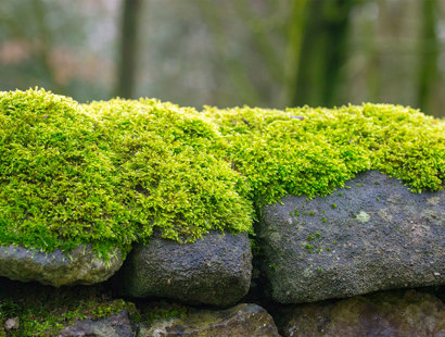 Agricultural disputes