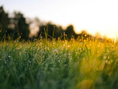 Bio Diversity Net Gain, Russell-Cooke news 2024
