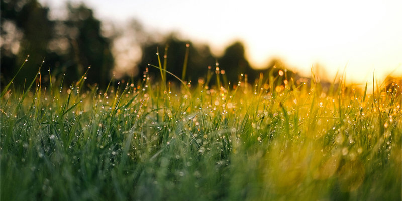Bio Diversity Net Gain, Russell-Cooke news 2024