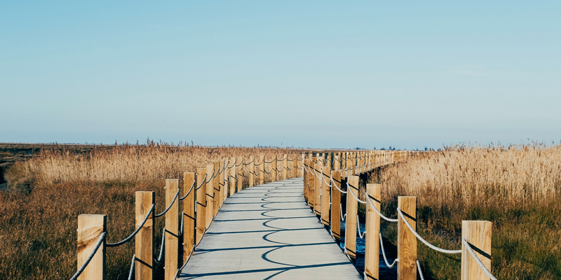 Beach walk