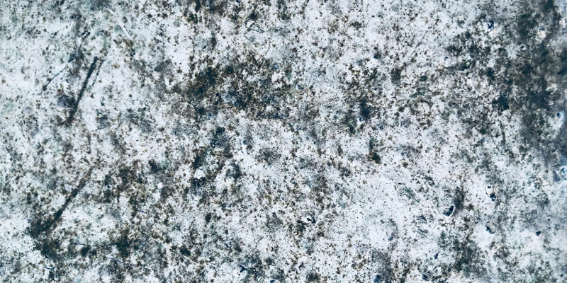 The image shows black mould. Awaab’s Law—extending safety standards to the private rented sector