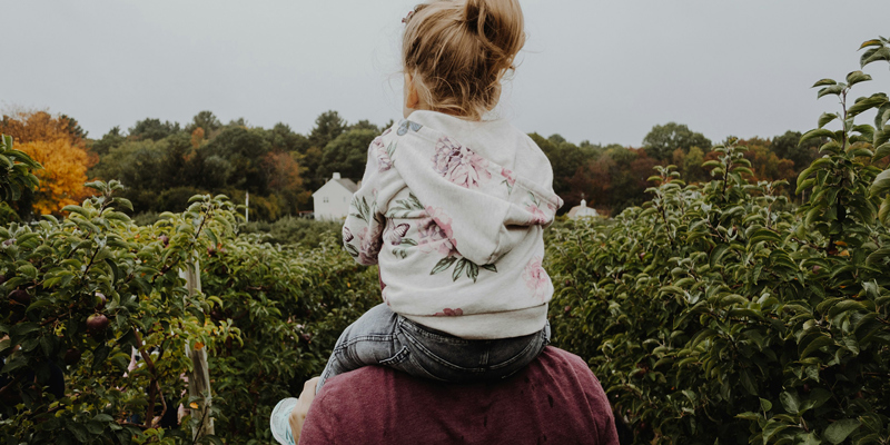 Discretionary trusts—what you need to know