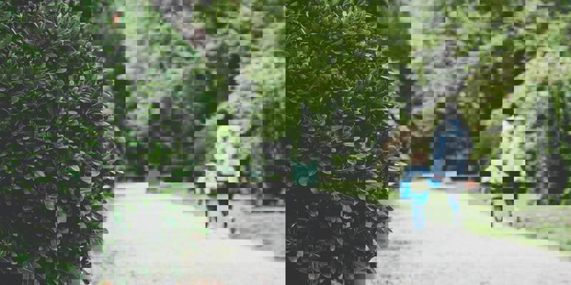 CMS-how-does-it-work