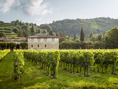 French estate planning and wills