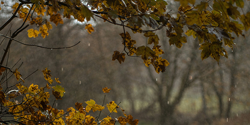 Private client team news and updates—January 2026