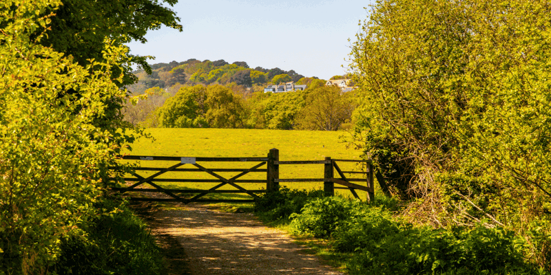 Natural Capital and agricultural tenancies: the new eFBT-Russell-Cooke-News-2025