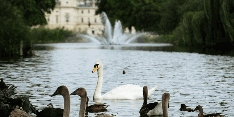 Could the Crown Estate force Andrew out of the house?—The Times-Russell-Cooke-News-2025