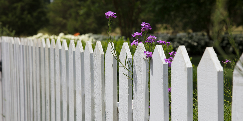 a white fence dividing gardens. flowers seen over the fence. Which side of the fence is mine?—The Times
