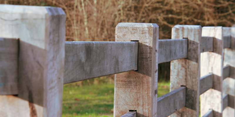 The image shows green grass and a wooden fence dividing the land. 