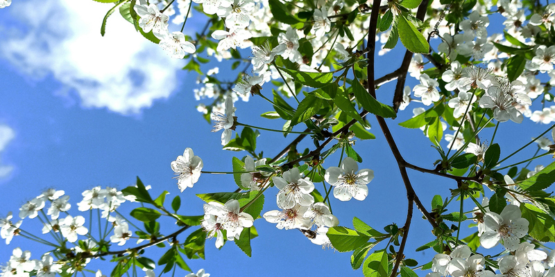 Private client team news - April, Russell-Cooke news 2024