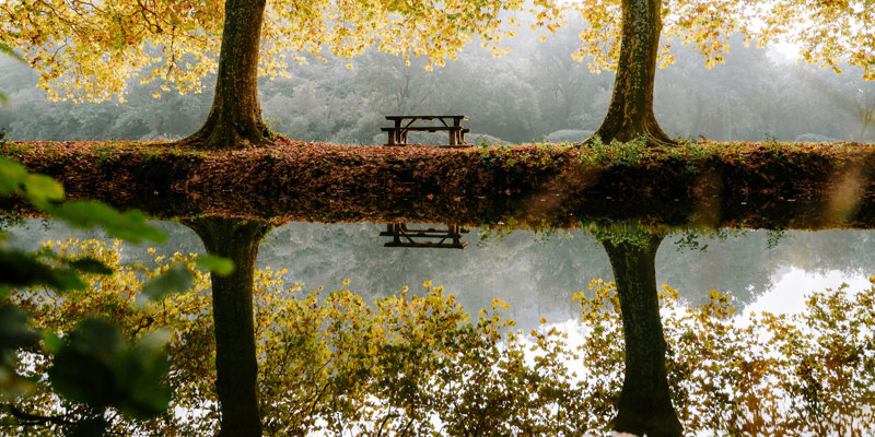 responsibilities of Riparian landowners. Scenic riverside