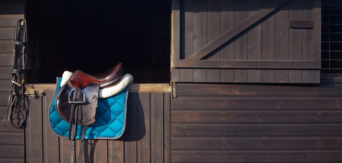 Corporate and commercial agribusiness