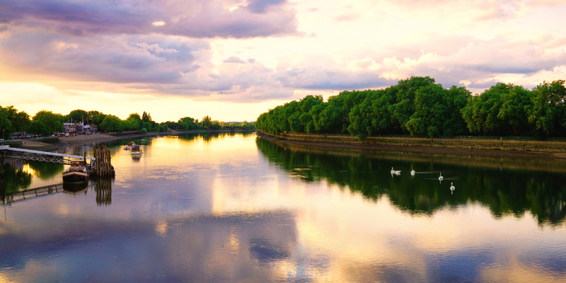 From legal aid to rooftop beehives: responsible business in action at Russell-Cooke-Russell-Cooke-News-2025