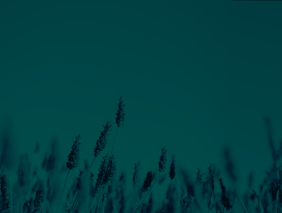Lavender and sky with a green overlay effect. Russell-Cooke's domestic abuse hub header image.