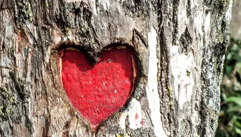 Moai Health team, an origin story by Russell-Cooke Solicitors. 