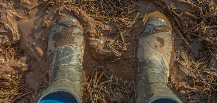 Agricultural and rural employment