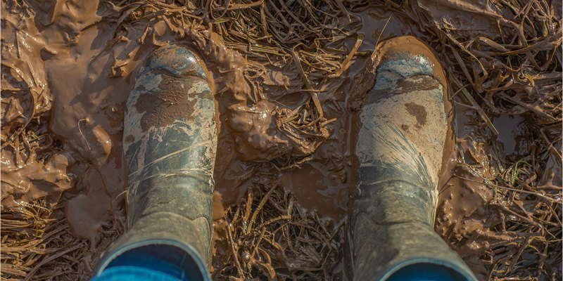 Agricultural and rural employment