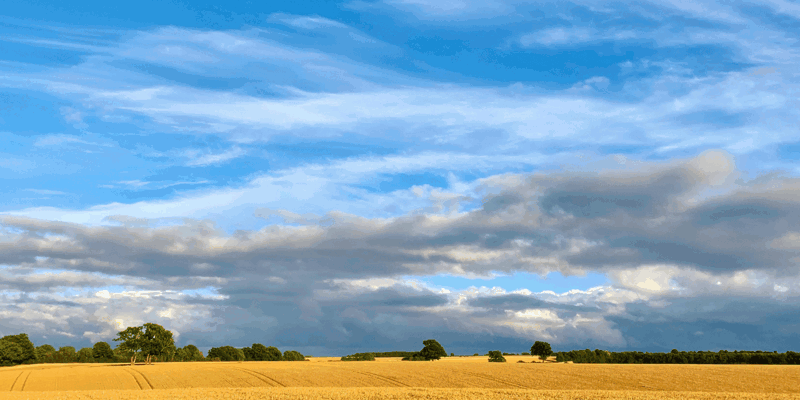 An introduction to restrictive covenants affecting land-Russell-Cooke-News-2025