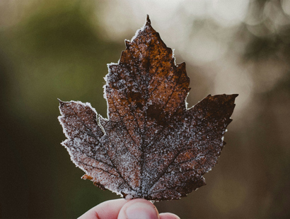 Private client team news and updates—January 2025