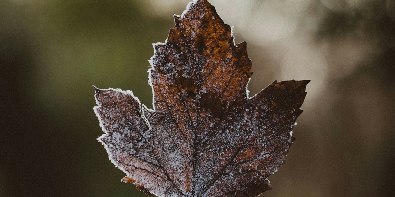 Private client team news and updates—January 2025