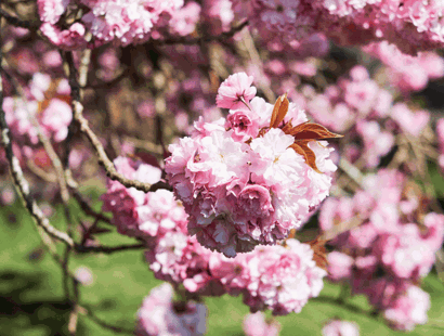 Is it possible to reroute a cable without ruffling neighbourly feathers?—The Times-Russell-Cooke-News-2025