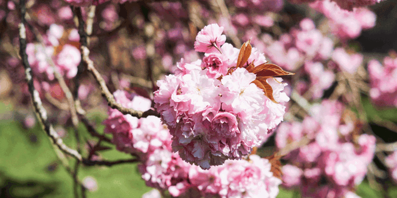 Is it possible to reroute a cable without ruffling neighbourly feathers?—The Times-Russell-Cooke-News-2025