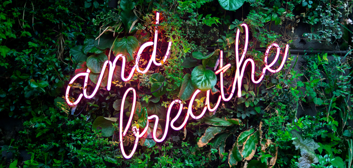 Russell Cooke Solicitors Wellbeing